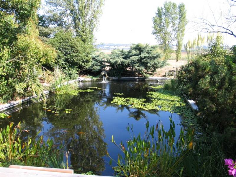 Paysagiste pour entretien de bassin à poisson à Sanguinet dans les Landes