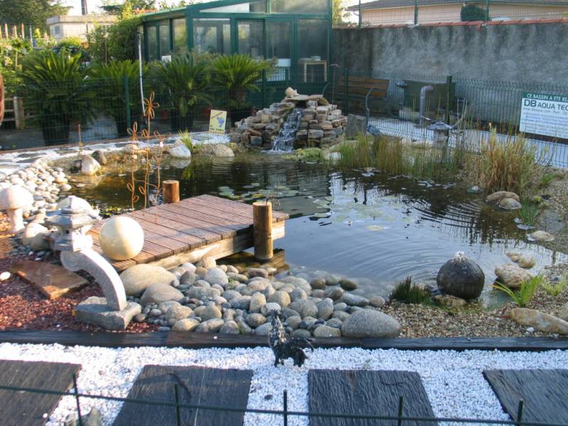 Aménagement d'un bassin pour poisson