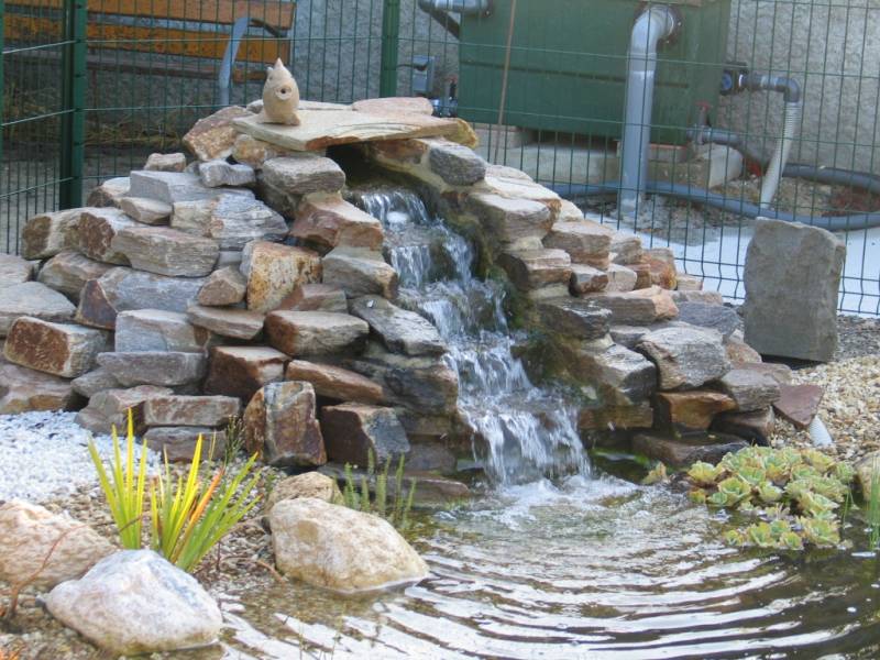 Paysagiste pour réalisation d'un bassin poisson extérieur d'exposition pour une jardinerie à Blagnac