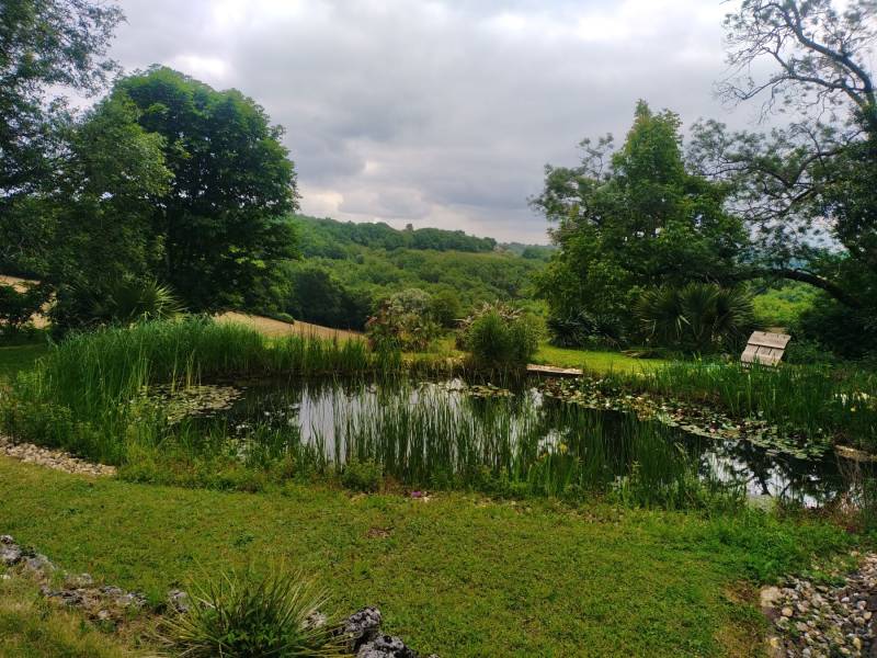 Paysagiste pour l'entretien d'un bassin de baignade biologique  dans le Tarn et Garonne 