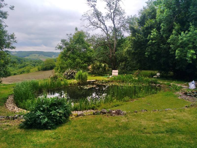 Paysagiste pour l'entretien d'un bassin de baignade biologique dans le Tarn et Garonne