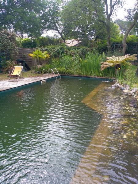 Paysagiste pour l'entretien d'une piscine naturelle à Capbreton dans les Landes