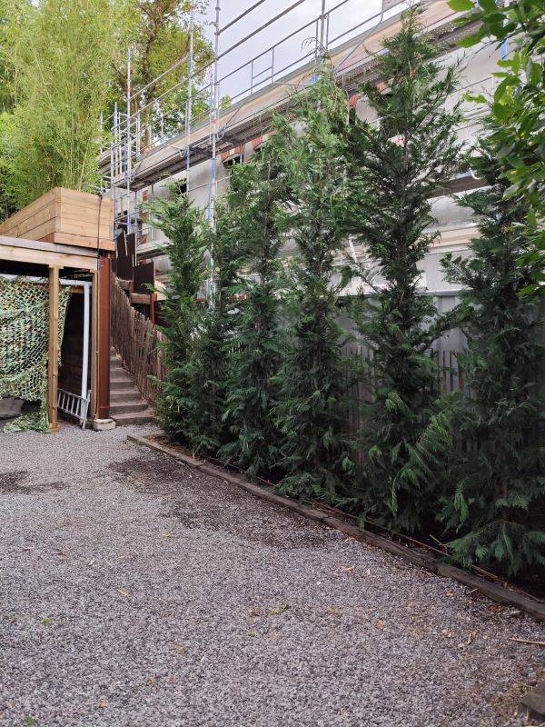 paysagiste pour la plantation de grands végétaux