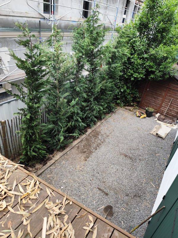 paysagiste pour la plantation de grands végétaux