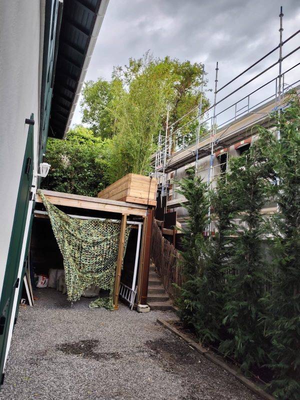 paysagiste pour la plantation de grands végétaux