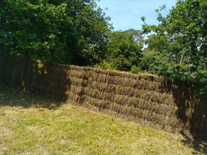 Paysagiste pour la mise en place  de brandes de bruyères 