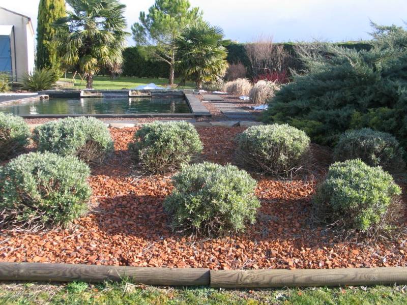 Paysagiste spécialisé dans l'aménagement de jardins à Biscarrosse, Parentis en Born et Sanguinet dans les Landes