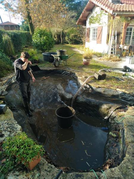 Paysagiste pour la restauration d'un bassin à poisson 