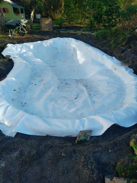 Paysagiste pour la restauration d'un bassin à poisson 