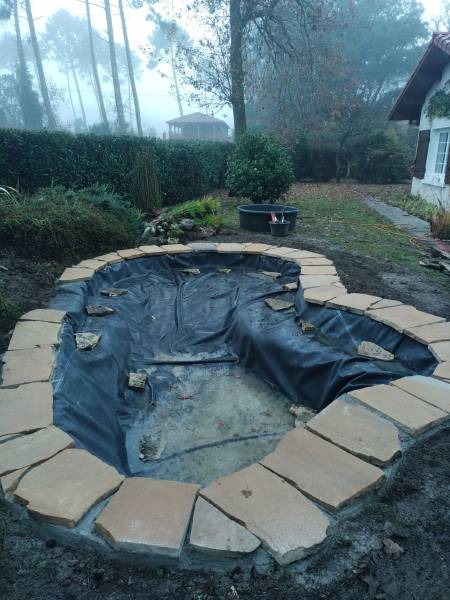 Paysagiste pour la restauration d'un bassin à poisson 