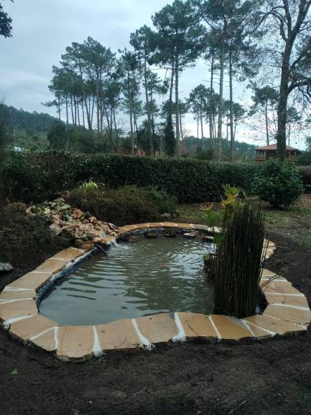 Paysagiste pour la restauration d'un bassin à poisson 