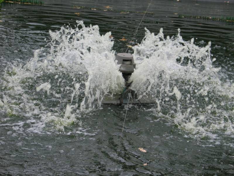 Paysagiste pour mise en place d'un dispositif de traitement de l'eau pour un bassin à poissons à La Teste de Buch près du bassin d'Arcachon