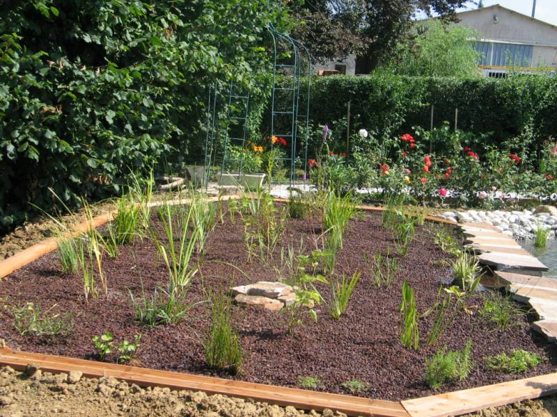 Paysagiste pour mie en place d'un dispositif de traitement de l'eau par lagunage