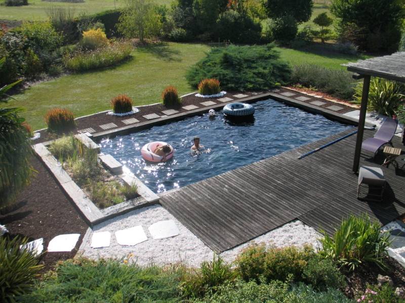 piscine naturelle 