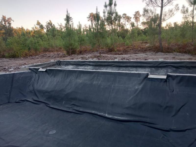 Conception et aménagement d’une piscine naturelle à Sanguinet dans les Landes