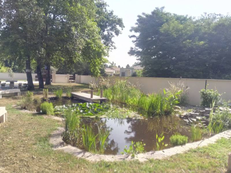 Paysagiste pour entretien de bassin à poisson à Sanguinet dans les Landes